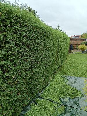 Hausmeisterservice und Gartenservice Kopiecki Piotr