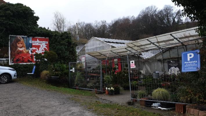 Gärtnerei Blumen Emmerich