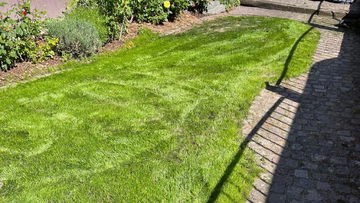 Gartenpflege & Gebäudeservice Sari