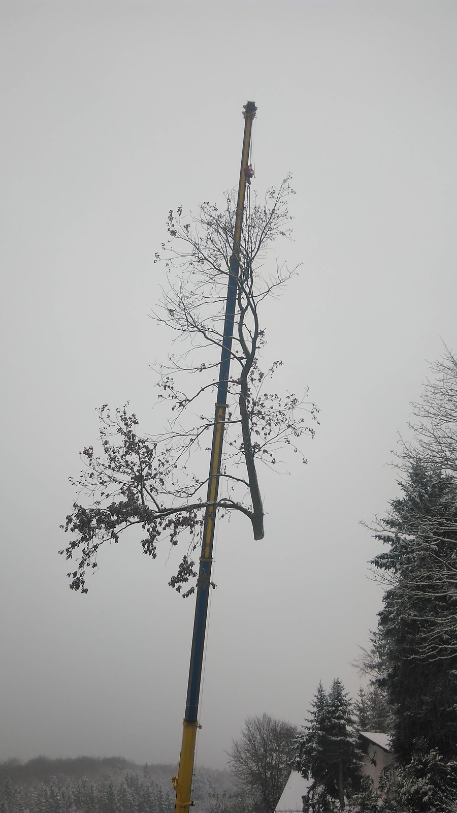 682dfd6931482