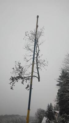 682dfd6931482
