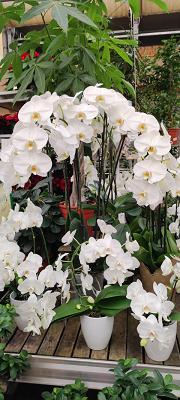 682dfda2b14e7