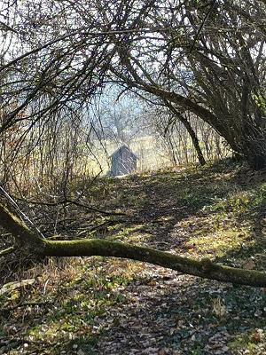 Thomas Bühler Gartenarchitektur