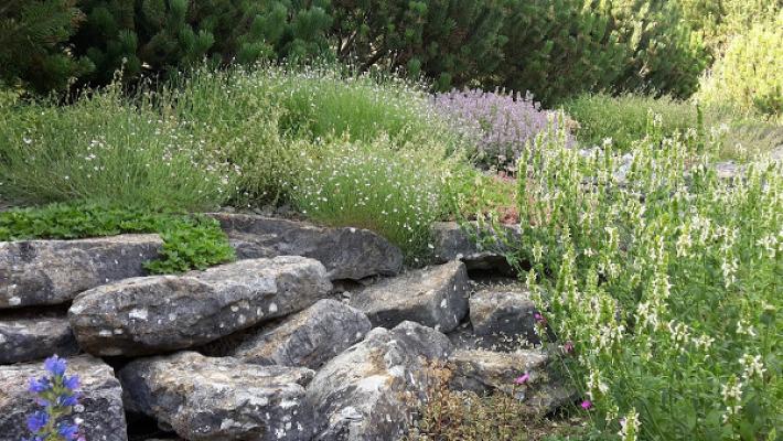 Beatrix Walz Grabgestaltung. Pflege. Garten