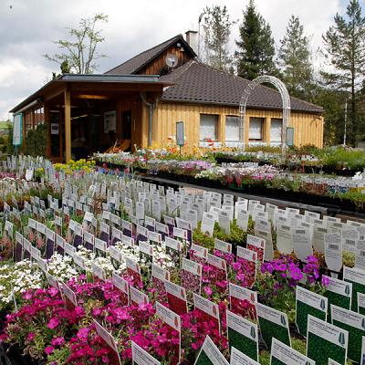 Franz Fink Gartengestaltung
