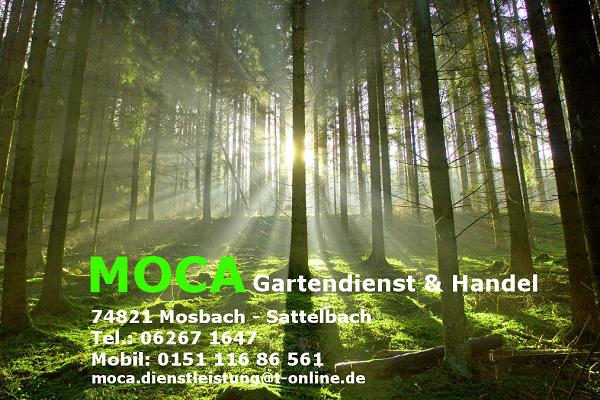 MOCA Gartendienst