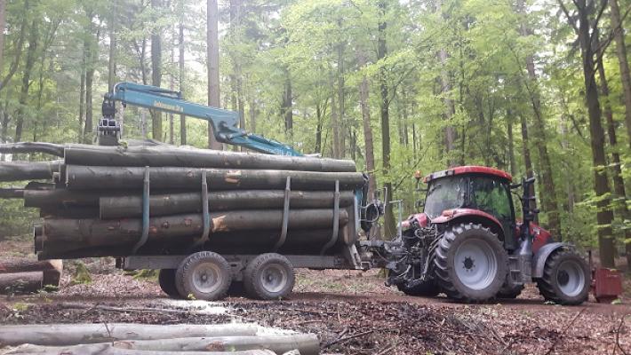 Brennholzhandel Roos