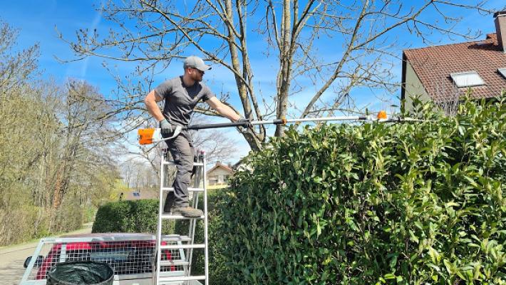 Sternberger Baum- und Landschaftspflege