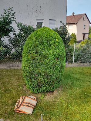 K.Haweri Gartenpflege