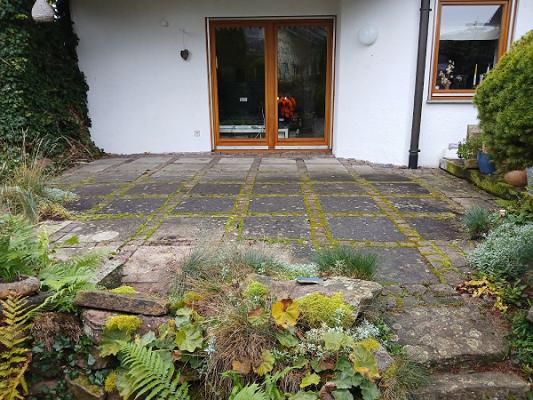 Thamir Gartenpflege & Dienstleistung