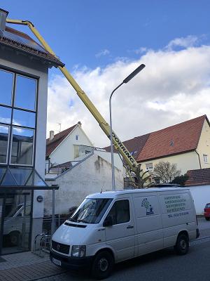 Wilser-Haus-und Gartenpflege