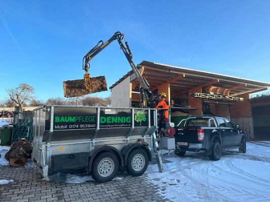 Baumpflege Dennig