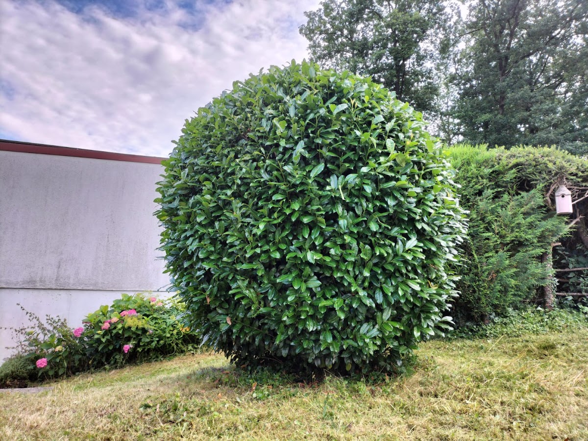 682e00689986e