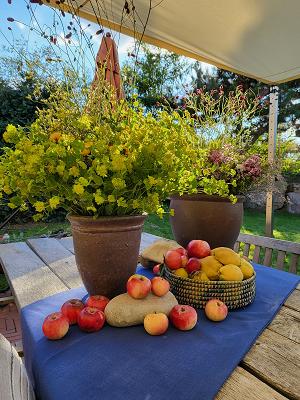 Freiland Gesellschaft für Garten- und Landschaftsbau mbH