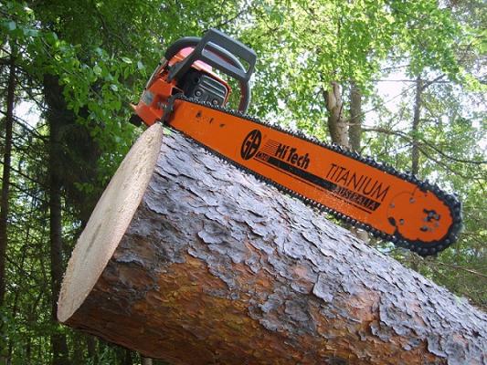 Joschis Gartenservice