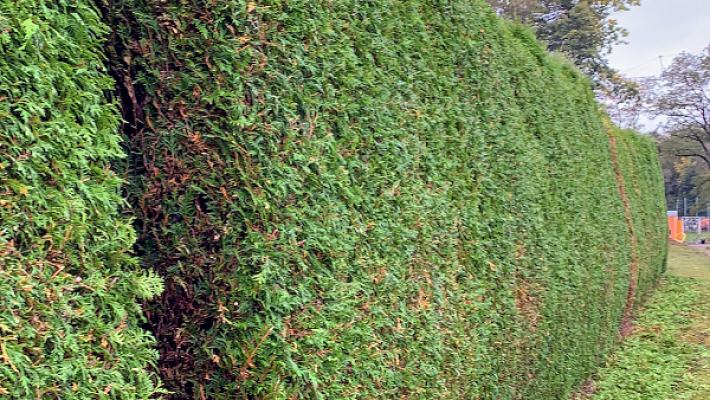 Adem's Garten & Entrümpelungen