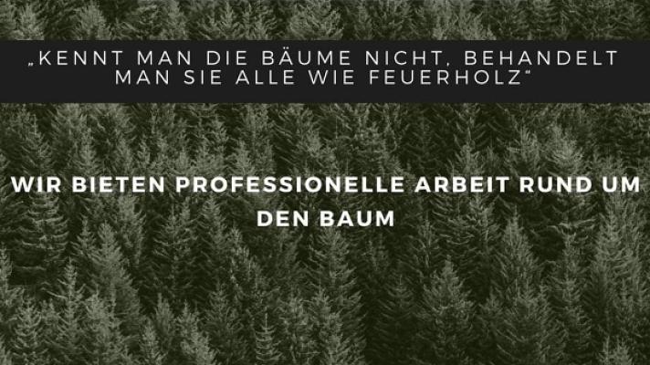 Keppler Baum- und Landschaftspflege