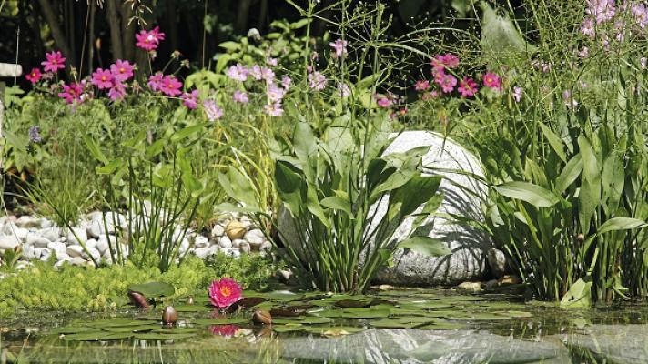 Schleitzer baut Gärten creativ & innovativ GmbH Garten- und Landschaftsbau