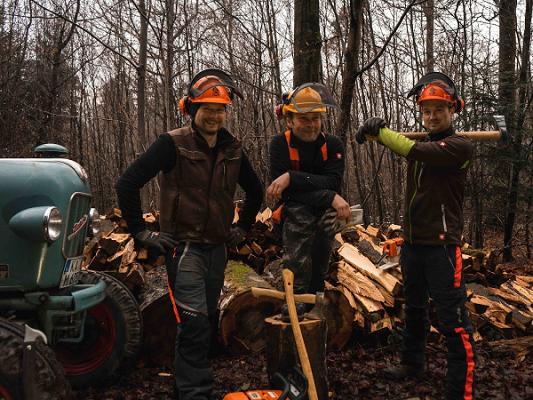 Baum- & Brennholzservice Sebastian Lusch