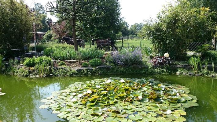 Roland Schulz Garten- und Landschaftsbau