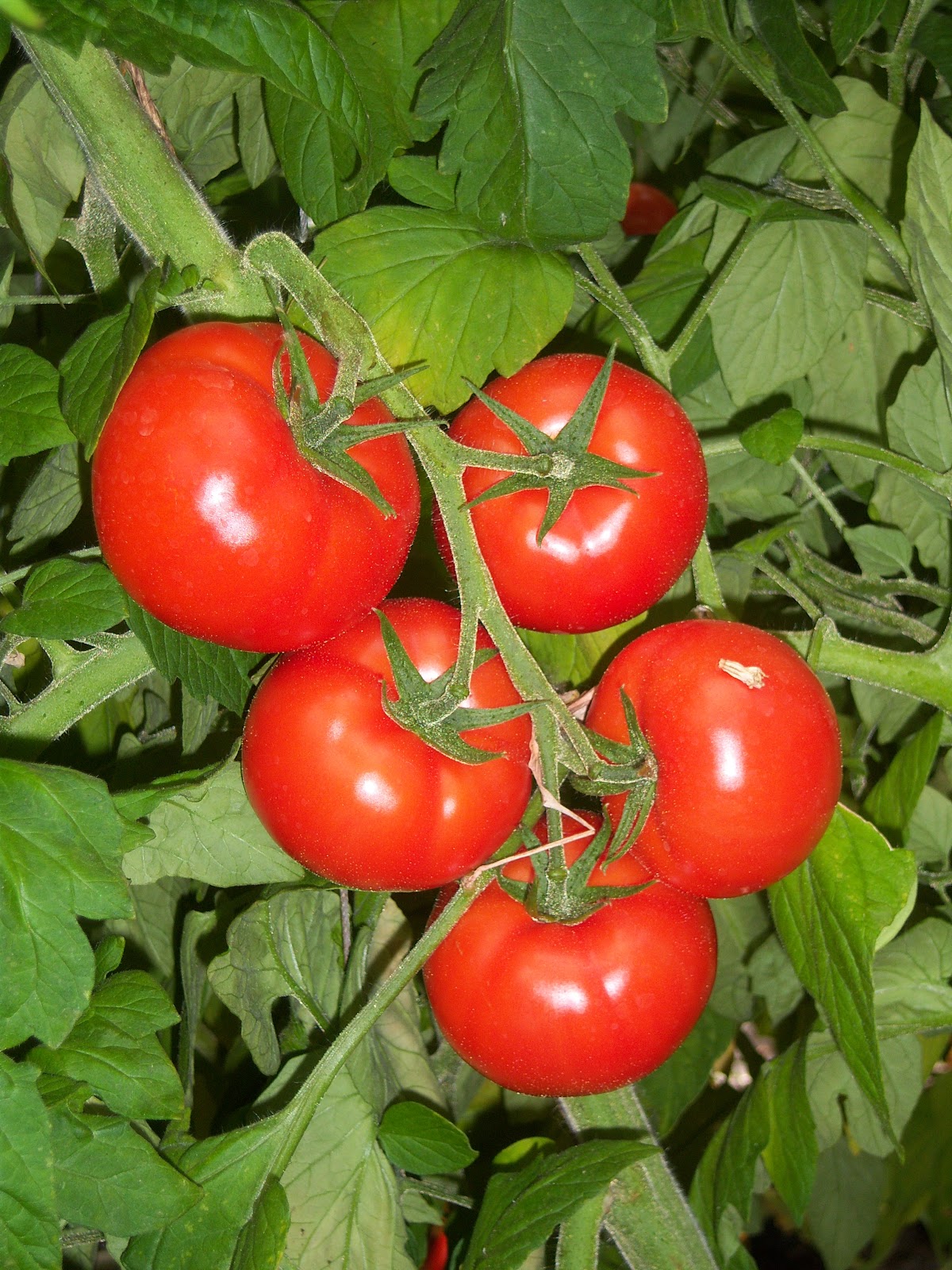 682e028f590f3