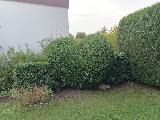 Ramadani Garten & Landschaftspflege