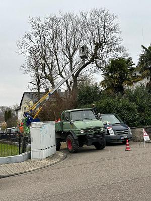 Baum und Gartenpflege Fabian Bittner