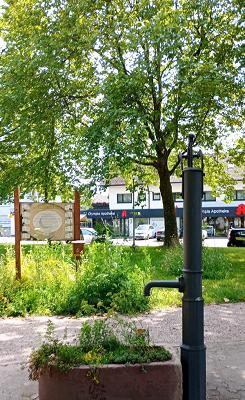 Heilkräutergarten