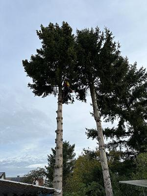 682e02f045280