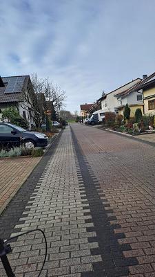 Evergreen-Garden