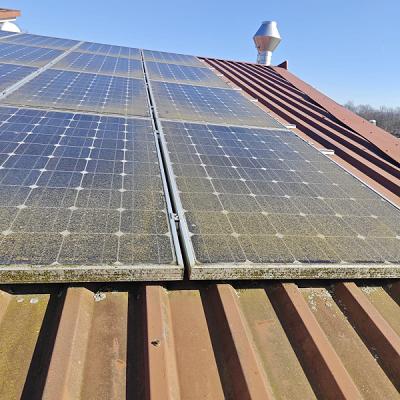 Bodnar Dienstleistung UG