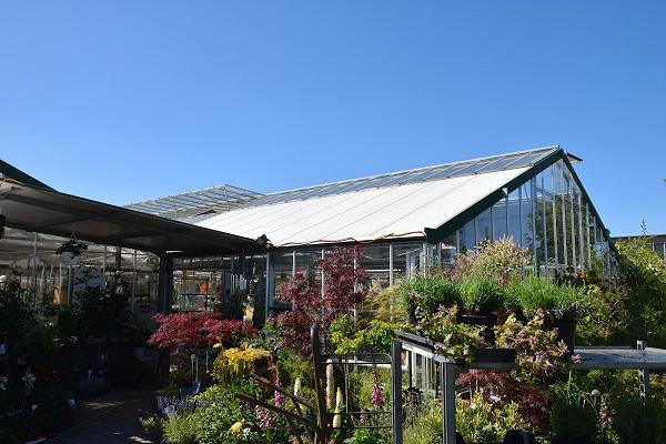 Albert Dachs - Garten- und Landschaftsbau Dachs