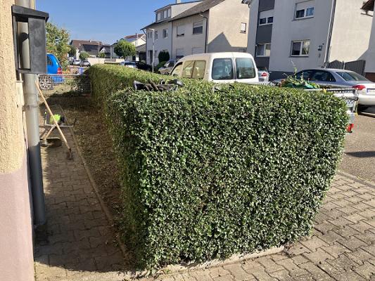 Gartenpflege & Hausmeisterservice Ladan