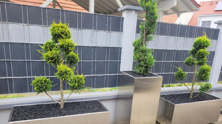 BS Dienstleistungs- und GaLaBau Service