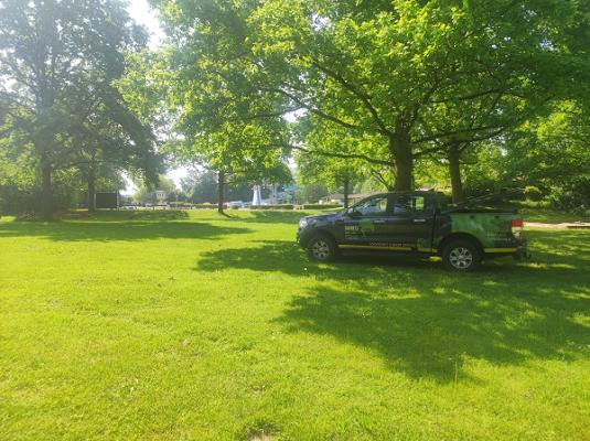 Daniels Baum- &Gartenservice