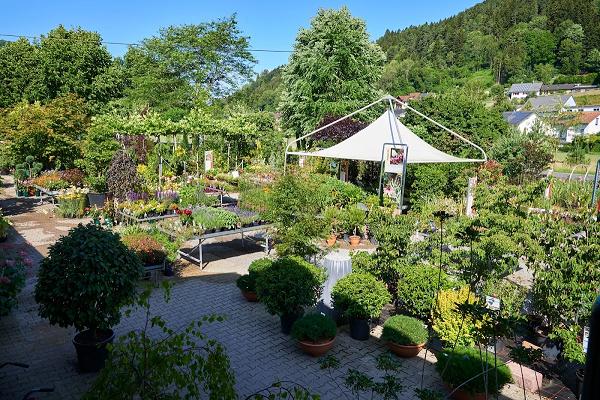 Späth Gartenpflanzen