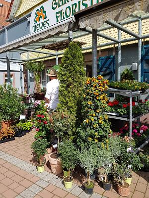 Mewes für Floristik, Haus und Garten Inhaber Oliver Grammel