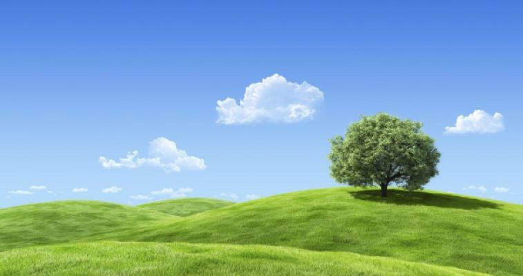 Wolf Garten- und Landschaftspflege