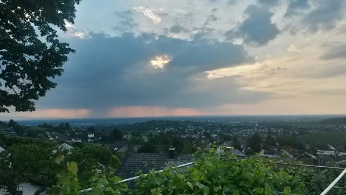 Gartengestaltung und Pflege Backhaus