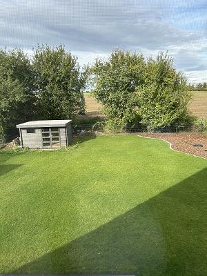 Garten- und Landschaftsbau David Fichtelmann