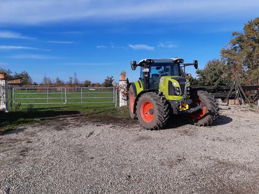 Grüner Fant UG Landschaftgartenbau, lohn und Gartenarbeiten