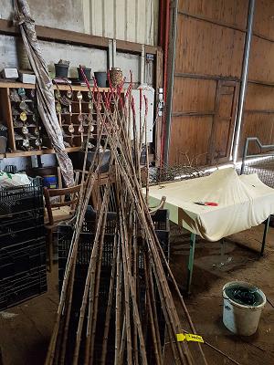 Baumschulen Nauen GmbH