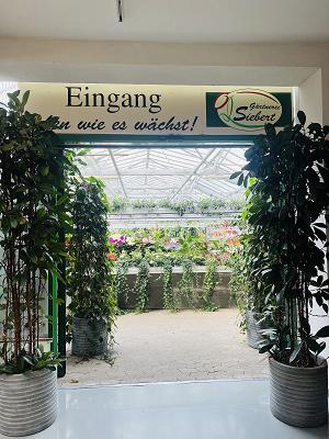 Blumenhaus-Gärtnerei Siebert Inh. Michael Köninger