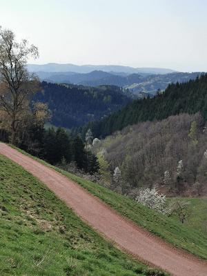 682e05146b329