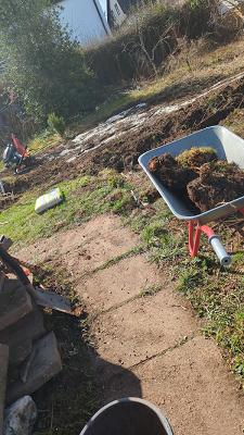 Meisterwerk Service Rund um Haus und Garten