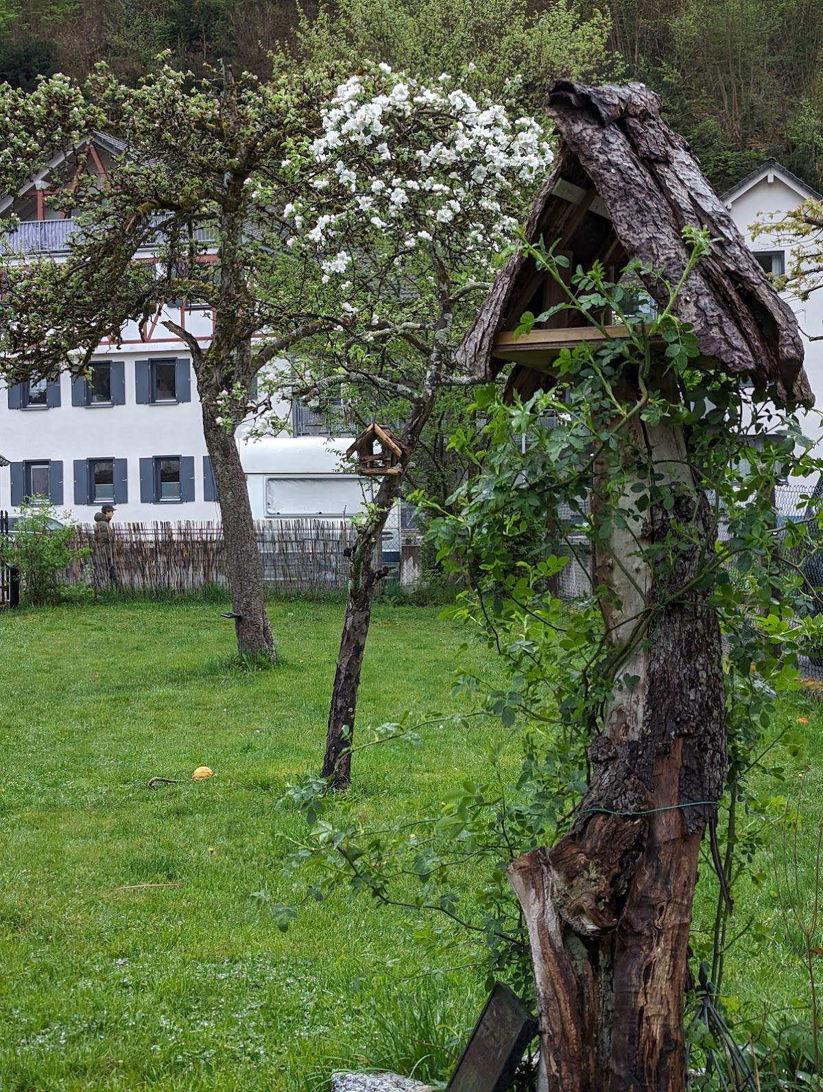 682e051899c79