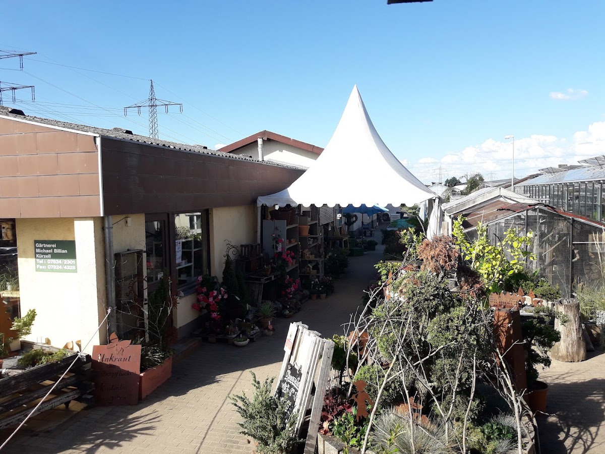 682e0561885ca