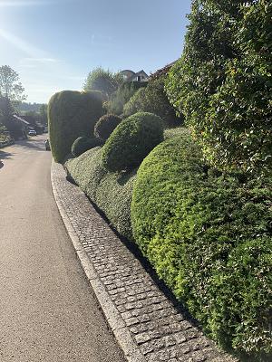 Team Holz Garten- & Baumpflege Gutach
