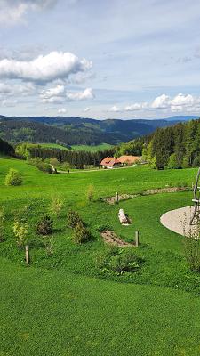 Elzach 360 Garten- und Landschaftsbau GmbH