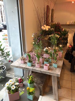 Anne Lindenmeier, Gärten von Schwendemann